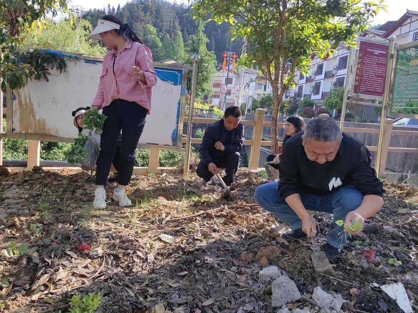 天游8线路检测中心驻村工作队挥锹夯土培植花苗